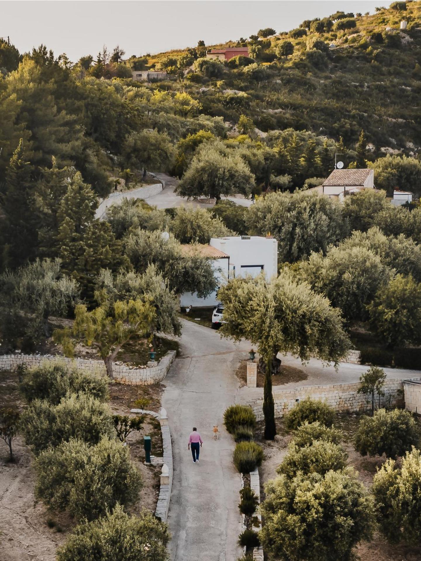 Tenuta Olive Alive Noto Phòng bức ảnh