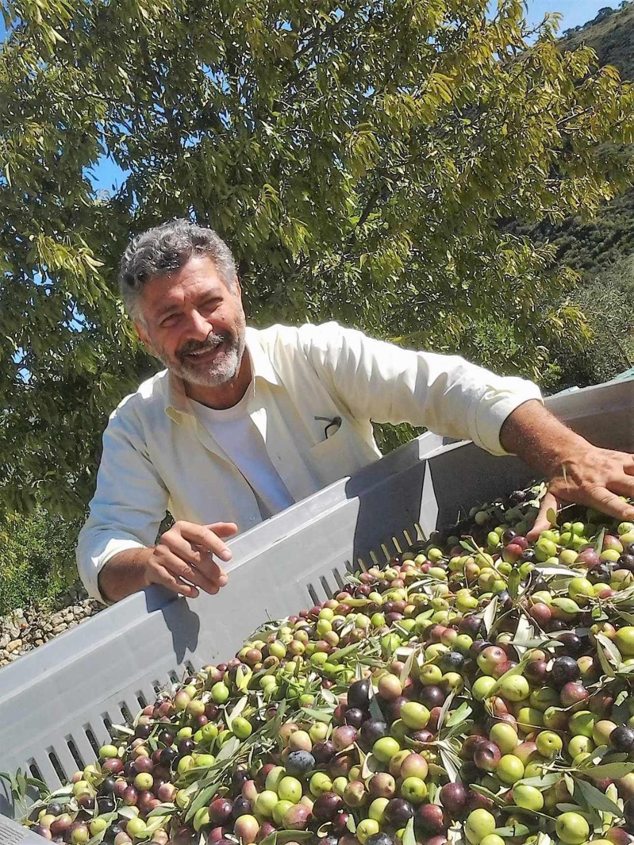 Tenuta Olive Alive Noto Ngoại thất bức ảnh